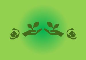 Workshop Naturkosmetik