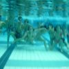 schwimmwoche07