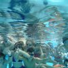schwimmwoche19