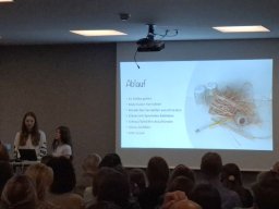 freiday_prasentationen_040