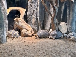 wienwoche_26_017