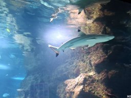 wienwoche_26_022