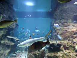 wienwoche_26_023
