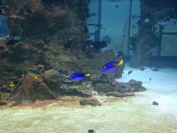 wienwoche_26_025