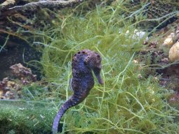 wienwoche_26_031