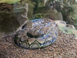 wienwoche_26_033