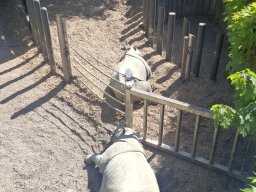 wienwoche_26_053