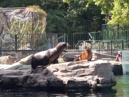 wienwoche_26_056