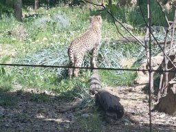 wienwoche_26_058