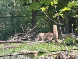 wienwoche_26_059
